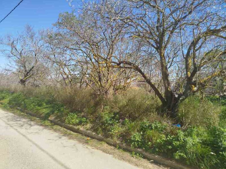 Image Οικόπεδο 701 τ.μ. στο Κοντοπούλι 110.000 ευρώ