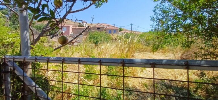 Image ΟΙΚΟΠΕΔΟ ΣΤΟΝ ΚΟΡΝΟ 247 Τ.Μ. 35.000 ΕΥΡΩ