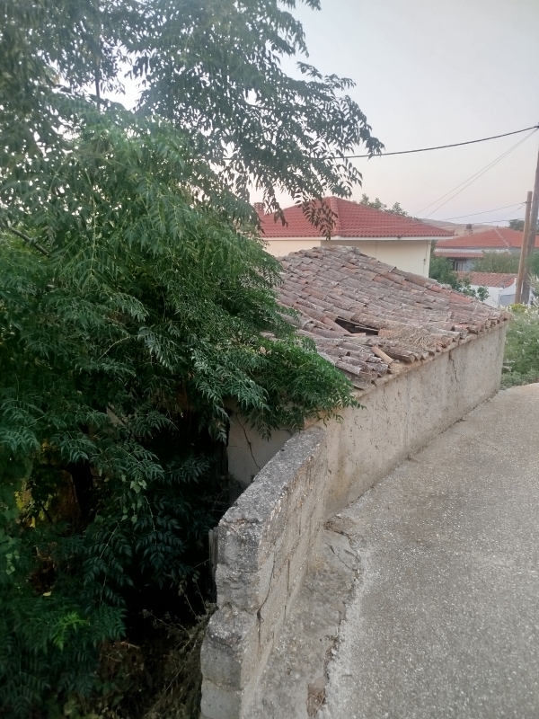 Image ΜΟΝΟΚΑΤΟΙΚΙΑ ΣΤΑ ΚΑΜΙΝΙΑ 66 Τ.Μ. 25.000 ΕΥΡΩ