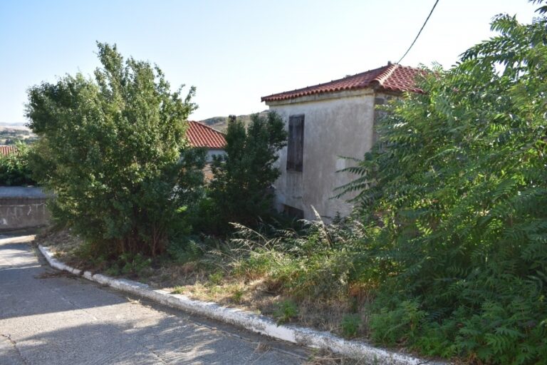 Image ΚΑΤΟΙΚΙΕΣ ΣΤΙΣ ΑΓΚΑΡΙΩΝΕΣ 273 Τ.Μ. 68.000 ΕΥΡΩ